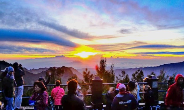 Brawijaya Cultural Engagement (BRACE) 2024