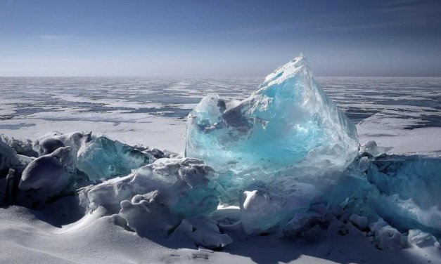 Climate Change AI Innovation Grants 2024