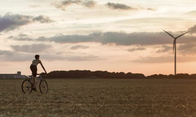 Wege Prize for Sustainable Design 2024