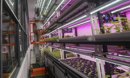 Southeast Asian Future of Farming Photo Contest 2024