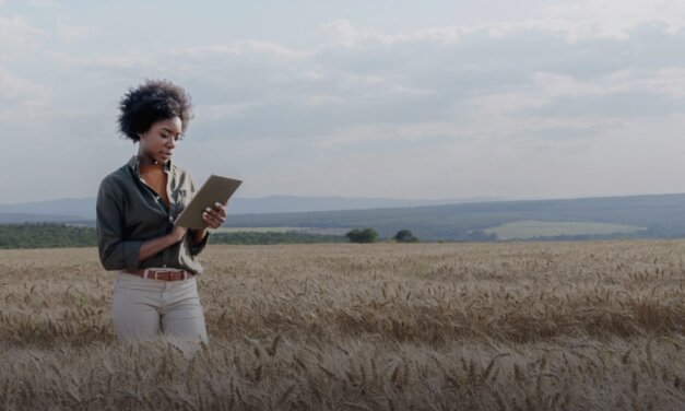 The EY SDG Accelerator 2025 – Using AI for Good