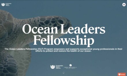 The Sustainable Ocean Alliance (SOA) Ocean Leaders Fellowship 2026