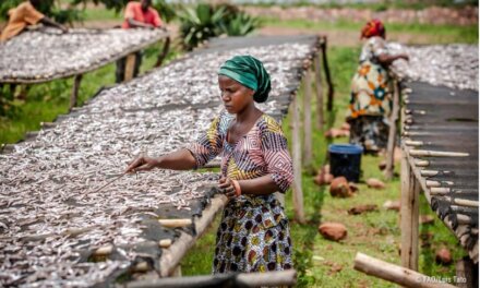 UN Food Systems Youth Leadership Program