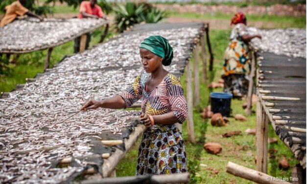 UN Food Systems Youth Leadership Program