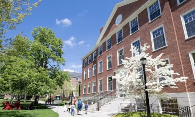 Harvard Radcliffe Science Fellowship 2027–2028