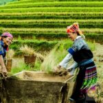 The 20th SEARCA Food Future Photo Contest