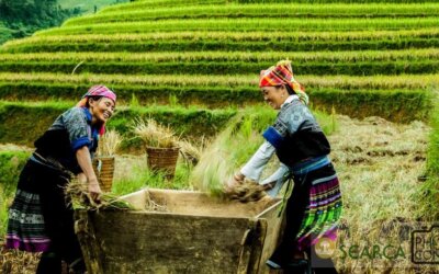 The 20th SEARCA Food Future Photo Contest